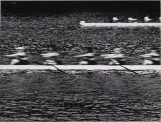 Rowers, Shelton, CT