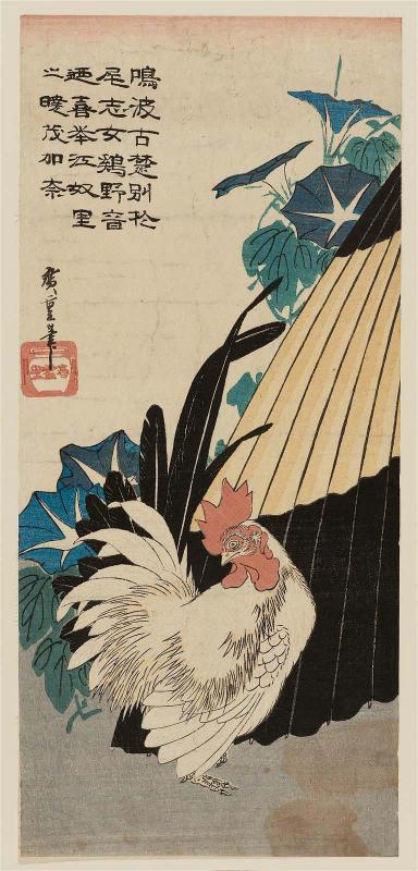 Morning Glories, Umbrella, and White Rooster