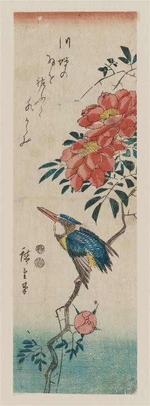 Kingfisher and Wild Roses