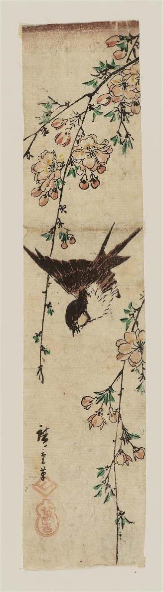 Flying Swallow and Weeping Cherry