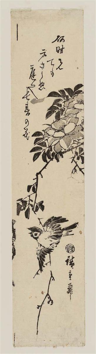 Flying Sparrow and Wild Roses
