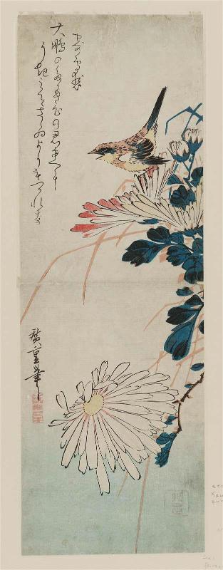 Bird and Chrysanthemums