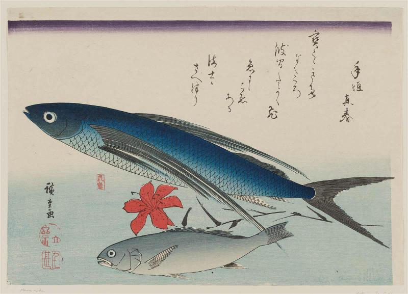 Flying Fish, Ishimochi, and Lily, from an untitled series known as Large Fish (supplemental group)