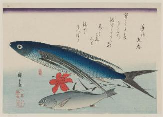 Flying Fish, Ishimochi, and Lily, from an untitled series known as Large Fish (supplemental group)