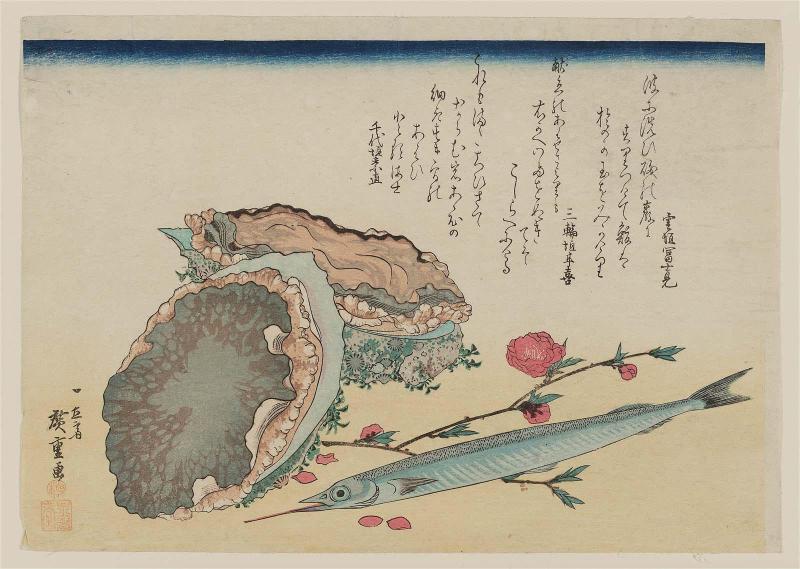 Abalone, Needlefish, and Peach Blossoms, from an untitled series known as Large Fish