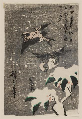 Sparrows and Snow-covered Nandina
