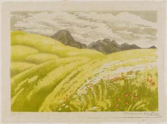 Green Meadow and Distant Mountains