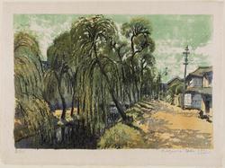 Street by Willow Embankment