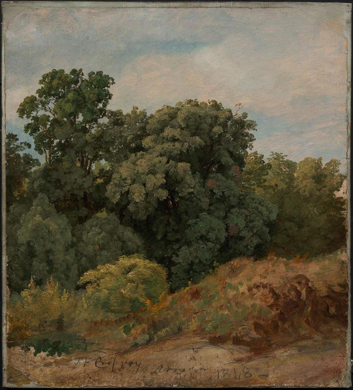 Study of a Clump of Trees