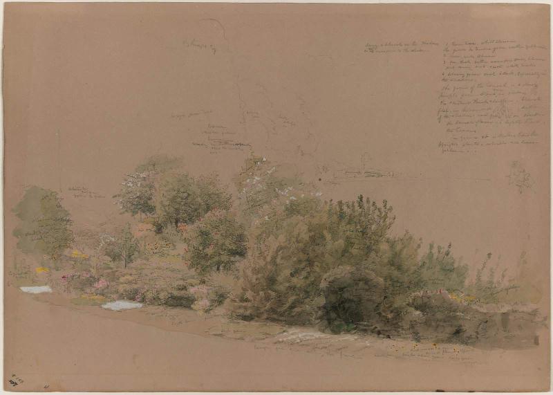Flowering Shrubs and Trees