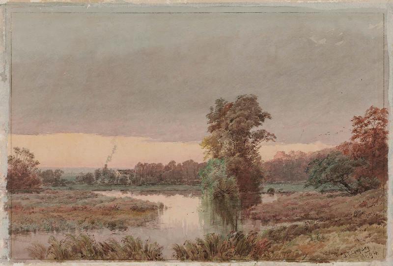 Marshy Land at Twilight