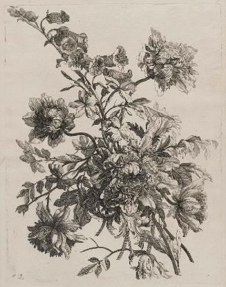 Bouquet with Peonies (Livre de Toutes Sortes de Fleurs d'Après Nature, Plate 2)