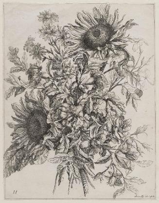 Bouquet with Sunflowers (Livre de Toutes Sortes de Fleurs d'Après Nature, Plate 11)