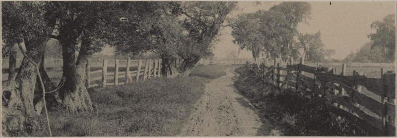 Country Road
