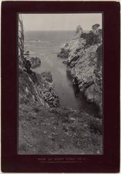 View at Point Lobos, no.4