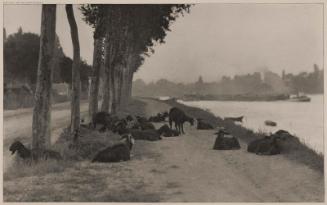 Pastoral Landscape with Goats (On the Seine, Near Paris)