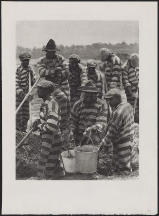 Convicts in Field