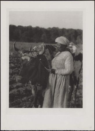 Woman and Cattle
