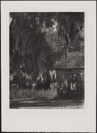 Cabin and Trees