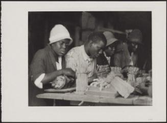 Workers Tying Asparagus