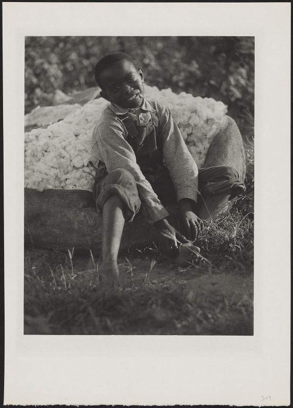 Boy and Bag of Cotton