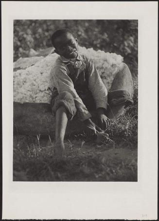 Boy and Bag of Cotton