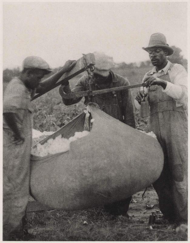 Man Weighing Bag of Cotton