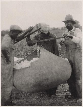 Man Weighing Bag of Cotton