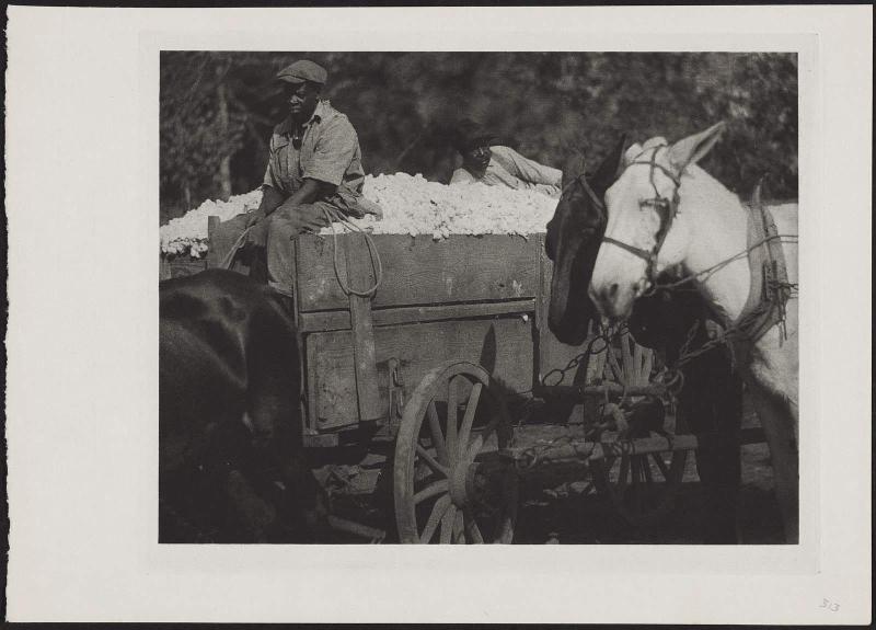 Horses, Figures and Cotton Wagon