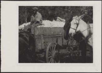 Horses, Figures and Cotton Wagon