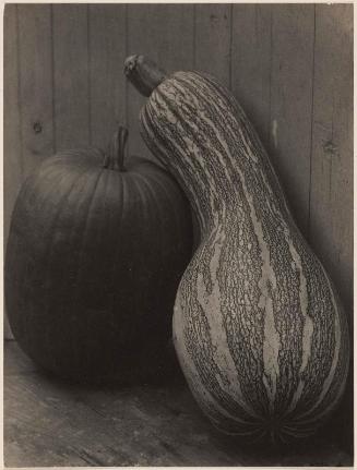 Still-Life with Gourd and Pumpkin