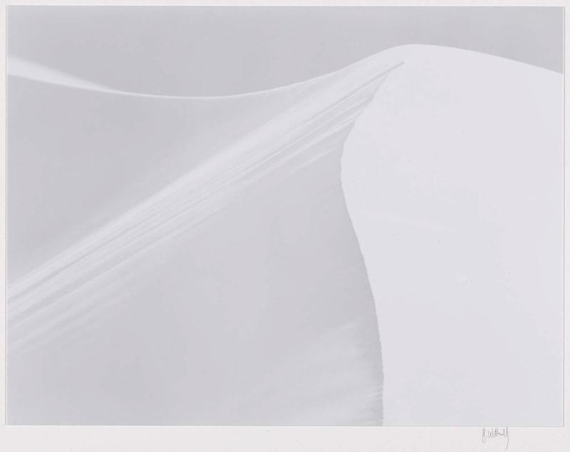 Dune Form #4 - Death Valley