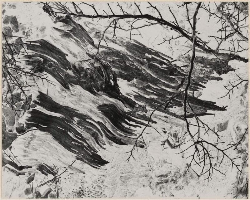 Ice Patterns