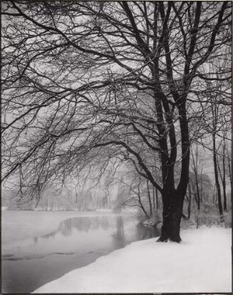Am Stadtwaldweiher (Pond in the City Park)