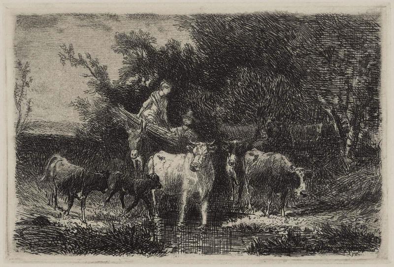 On the Neschamonie