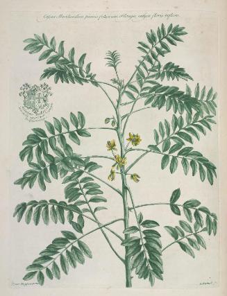 Historia plantarum rariorum