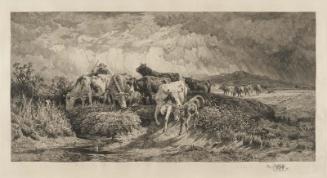 Cattle in a Stream