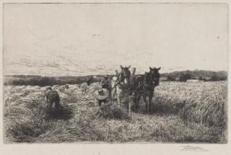 Harvest