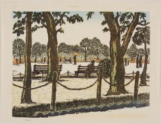 Park Benches and Trees