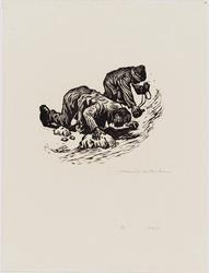 Water (Mizu), from the series Traveling to the Homeland (Sokoku e no tabi), also called Refugees