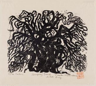 Weeping Beech