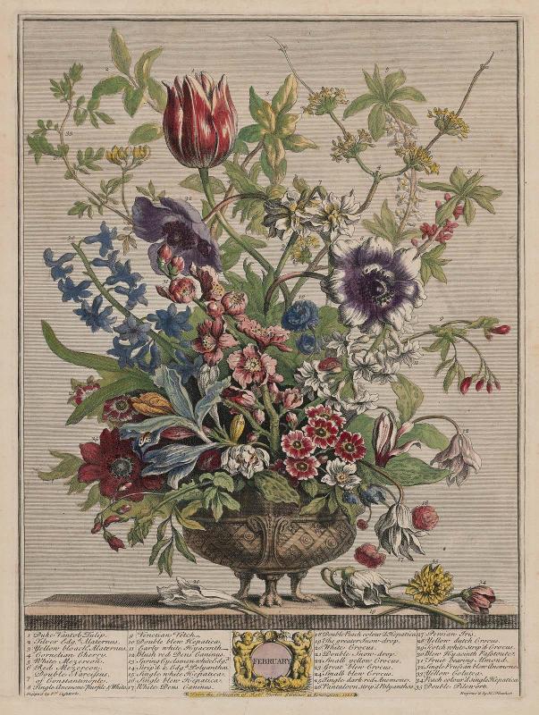 Flower Chart for February