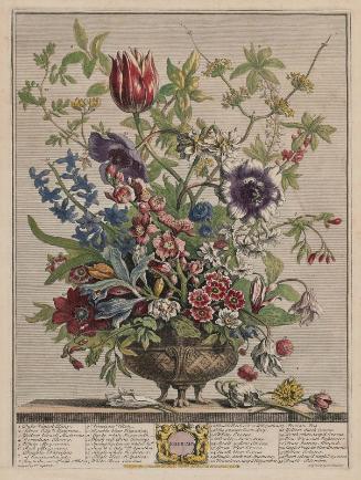 Flower Chart for February