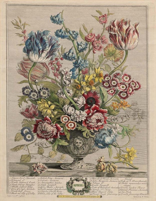 Flower Chart for April