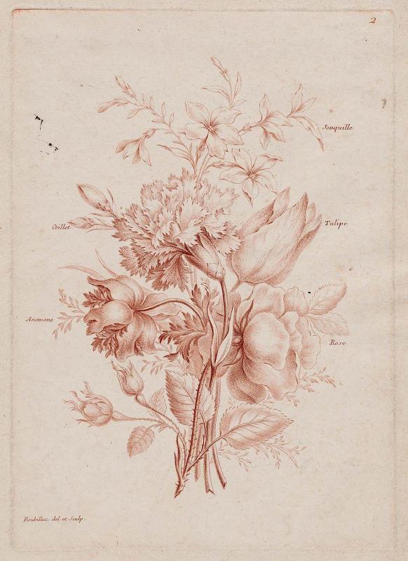 Bouquet of Rose, Anemone, Carnation, Tulip and Jonquil