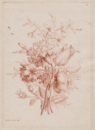 Bouquet of Rose, Anemone, Carnation, Tulip and Jonquil