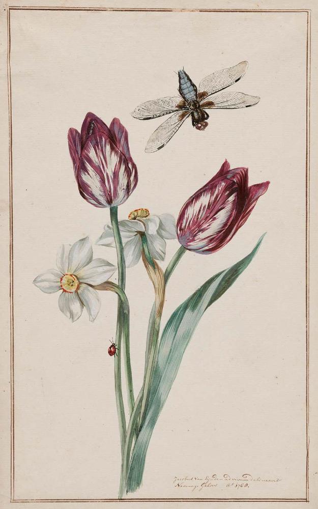 Tulips and Jonquils with Dragonfly and Ladybug