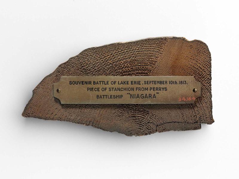 Fragment of Oak