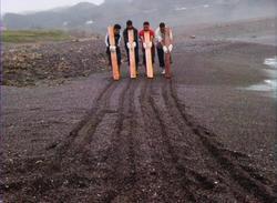 Four Parallel Lines