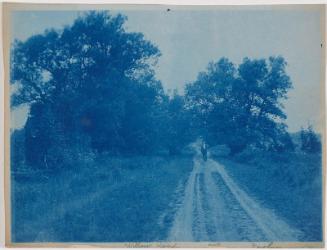 “Willow Road, AWD, Newbury”